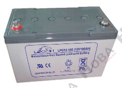 Leoch LPG 12-100
